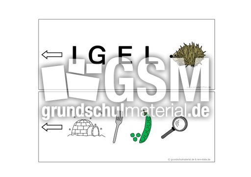 Igel.pdf